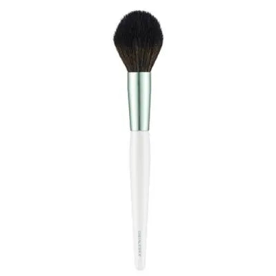 THE FACE SHOP fmgt.CHEEKBRUSH 1Box (120ea)