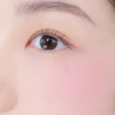 FWEE MELLOW DUAL BLUSH PK01 LOVE ME HIGHKEY 1Box (40ea)