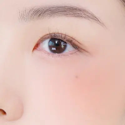 FWEE MELLOW DUAL BLUSH RD02 ANOTHER ME 1Box (40ea)