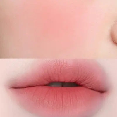 FWEE LIP&CHEEK BLURRY PUDDING POT PK02 SKIRT 5g+PENDANT KEYRING 1Box (50ea)