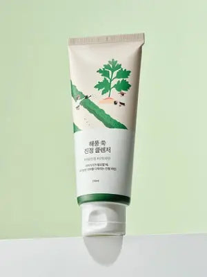 ROUND LAB MUGWORT CALMING CLEANSER_150ml 1Box (30ea)