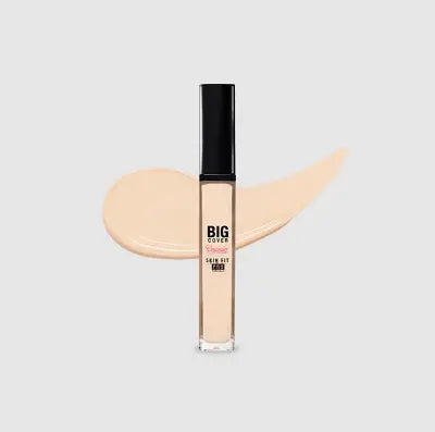 ETUDE Big Cover Skin Fit Concealer Pro Neutral Vanilla 17N1 7g (24) 1Box (6ea)