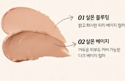 SKIN FOOD SALMON DARKCIRCLE CONCEALER CREAM 02 BEIGE 10g 1Box (5ea)