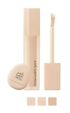 JUNGSAEMMOOL Skin Nuder Concealer #Fair-Light 6g 1Box (100ea)